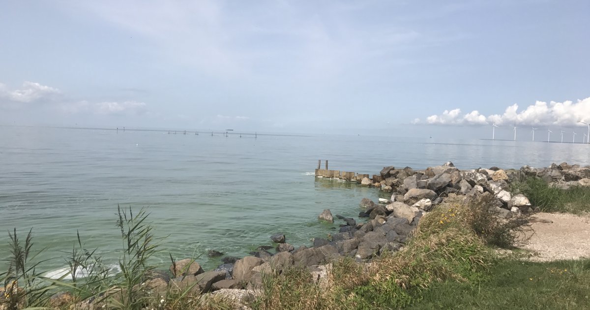 Warm welkom voor nieuwe inwoners | Gemeente Urk